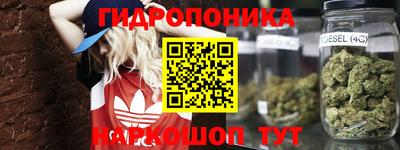 мдпв Будённовск