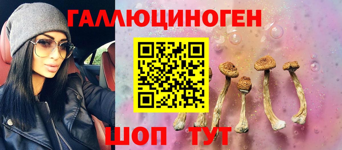 Усть-Кут  где купить наркоту  Псилоцибиновые грибы Cubensis  Вход с VPN  Галлюциногенные грибы ЛСД 